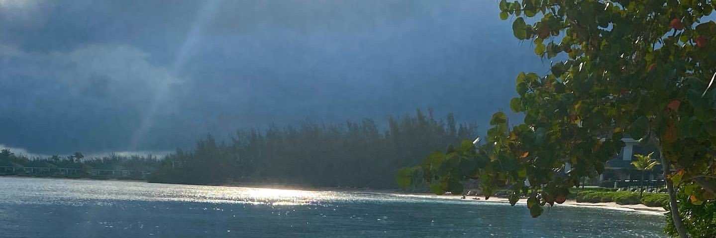 yvngnik's profile banner image