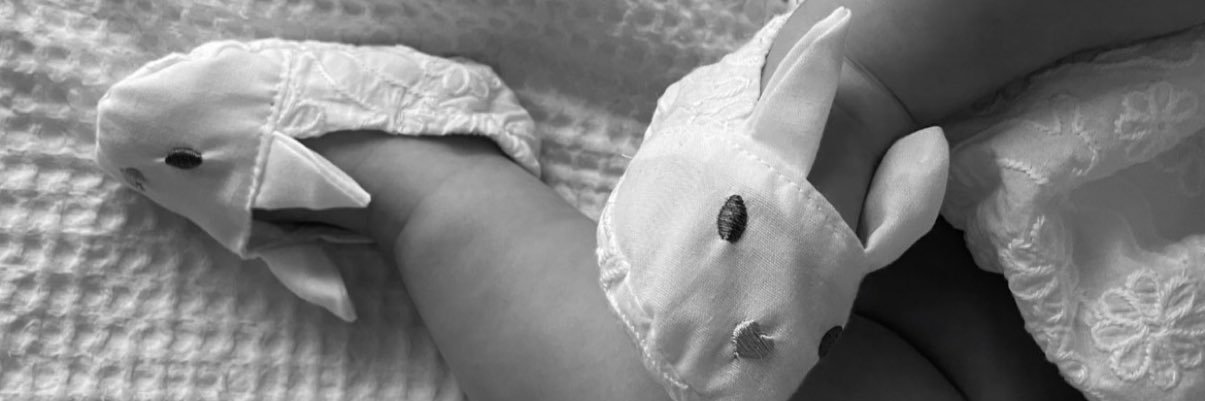 lillibee98's profile banner image
