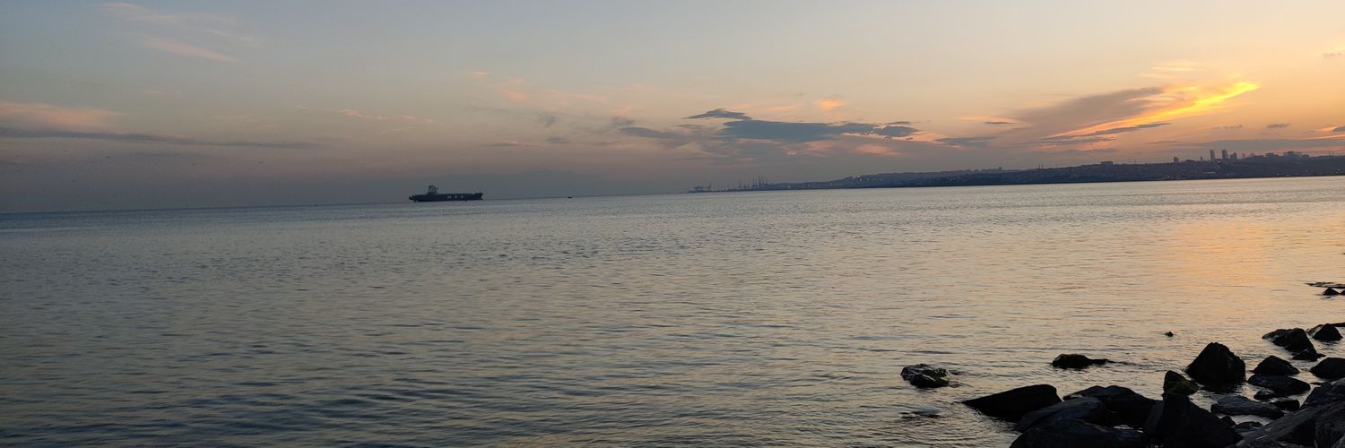 Elshemo96's profile banner image