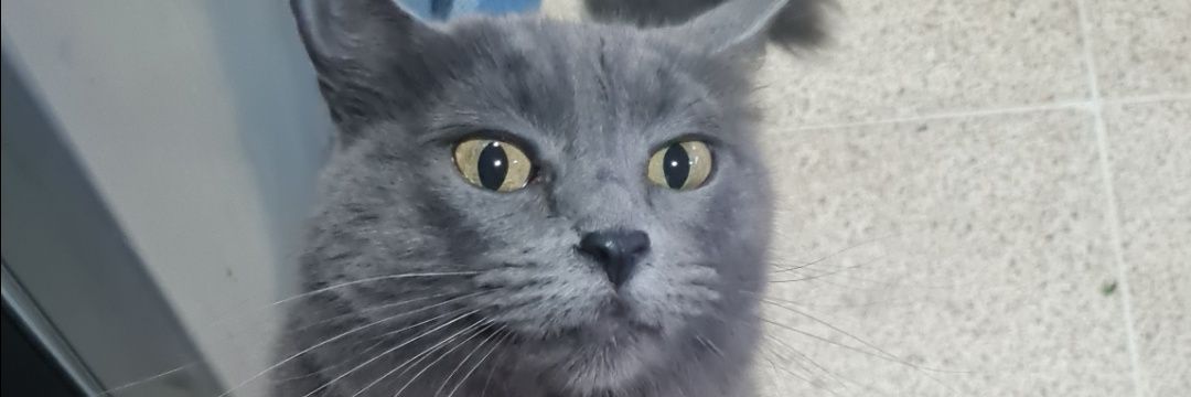 JCArrobo's profile banner image