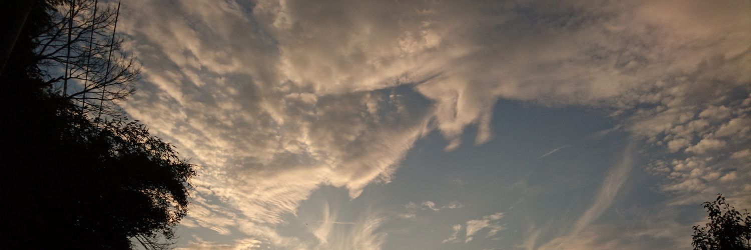 海 banner