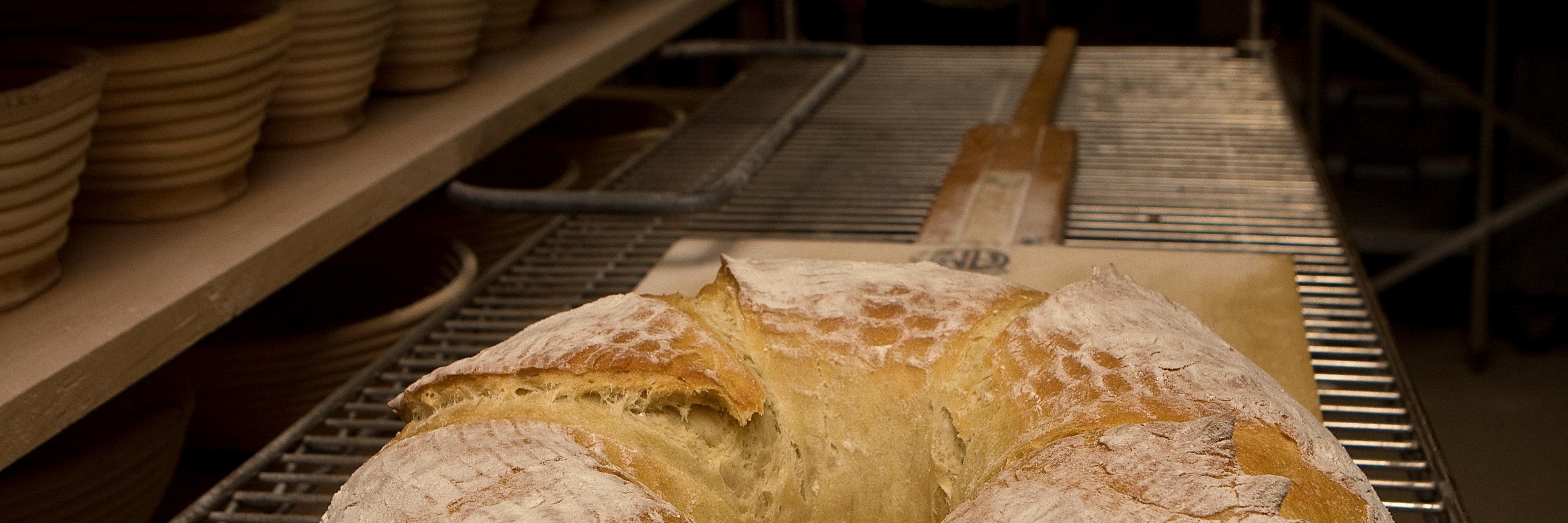 truegrainbread's profile banner image