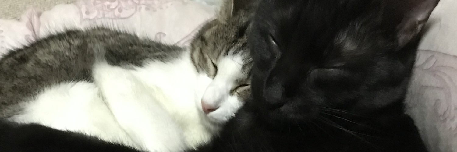 neko_no_menma's profile banner image