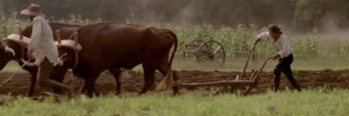 BischoffDylan's profile banner image