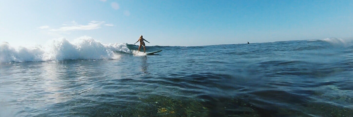 HaleyRisch's profile banner image