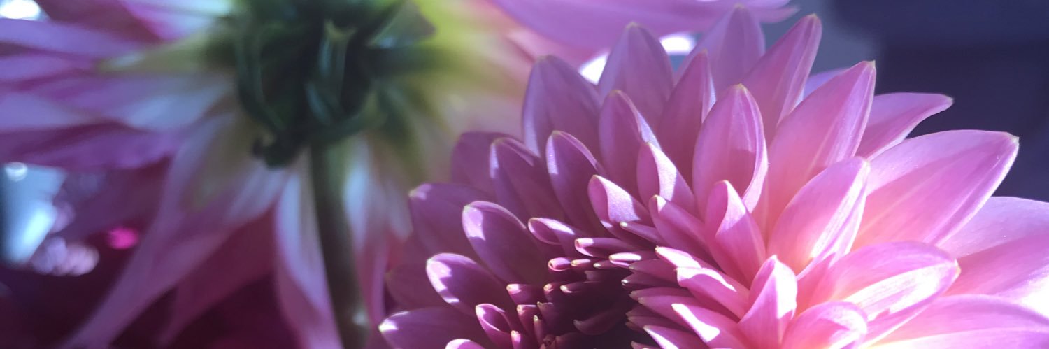 EmmyKnits's profile banner image