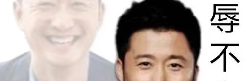 草🍓兔子 banner