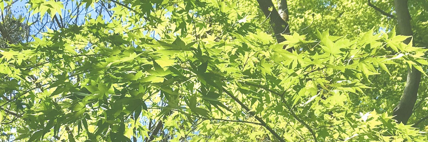 らびっと banner