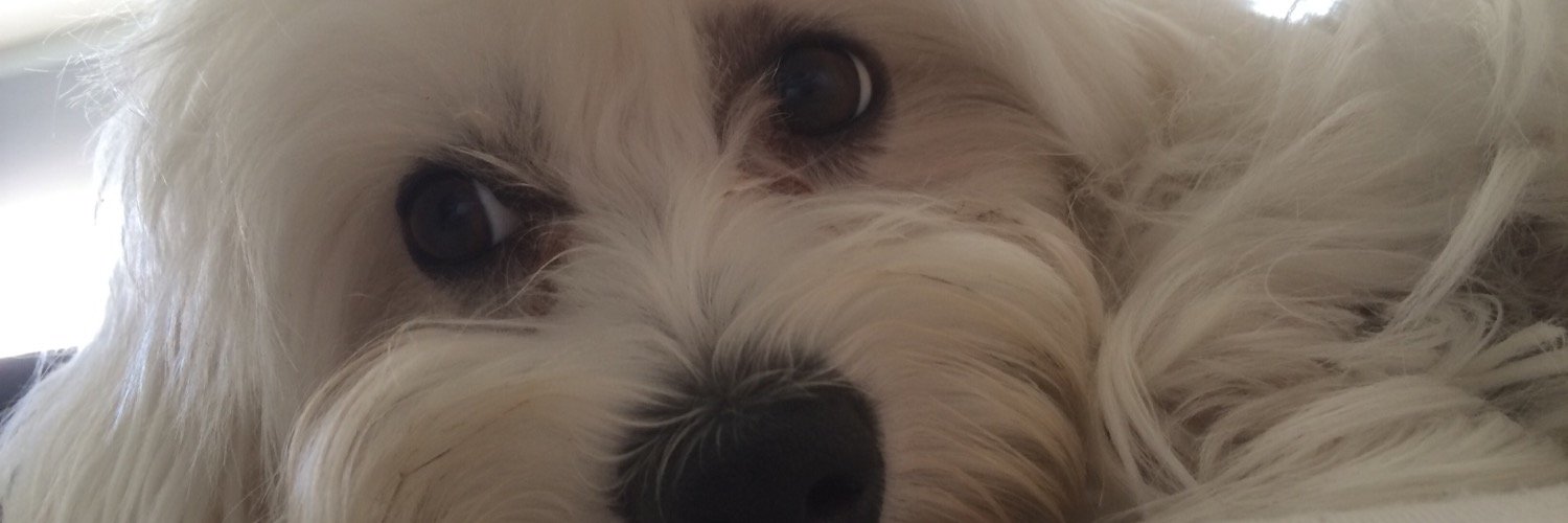 santicarles's profile banner image