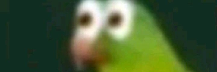 I_don't_know xd banner