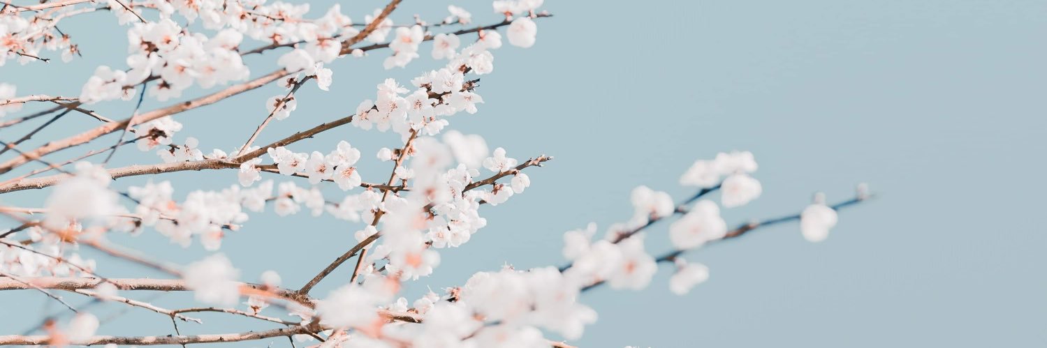grace 🌸 banner