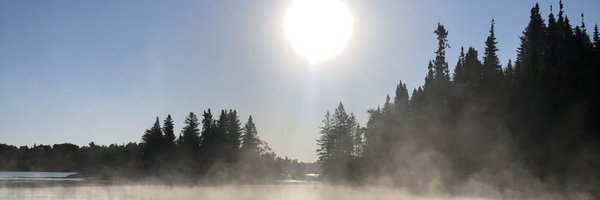 Dustmopp31 Profile Banner