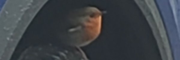 kimjay191 Profile Banner