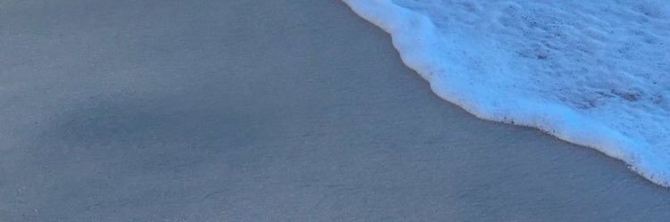 센차 banner