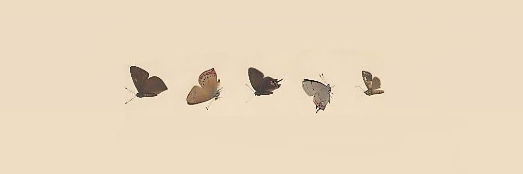 enebouquet's profile banner image