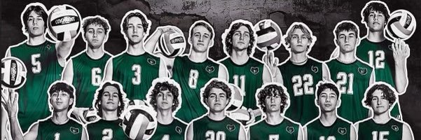 Basha Boys Volleyball banner