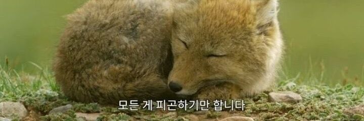 soyu624's profile banner image