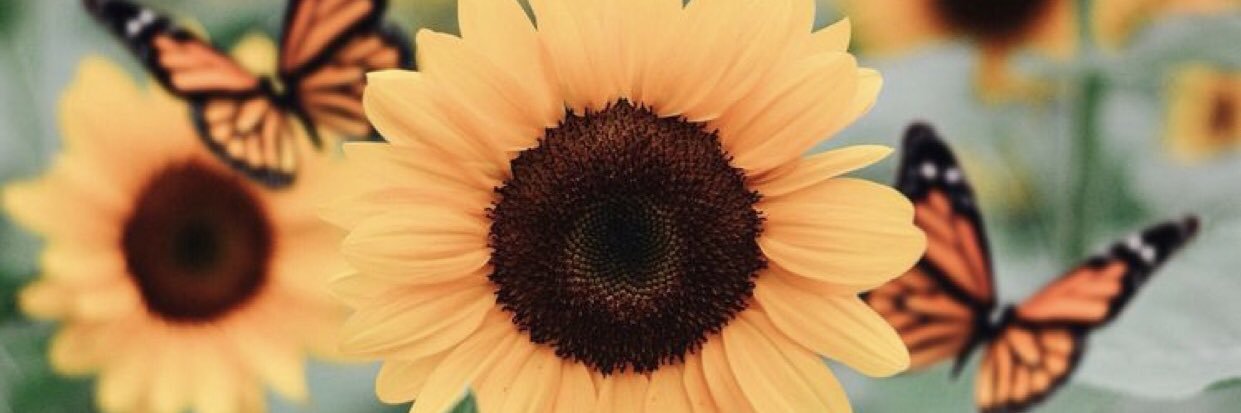 nachelay54's profile banner image