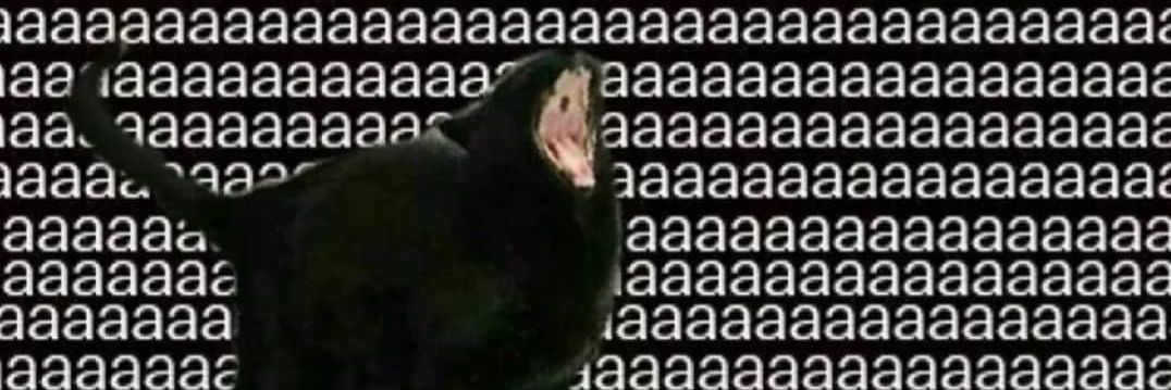 micayears's profile banner image