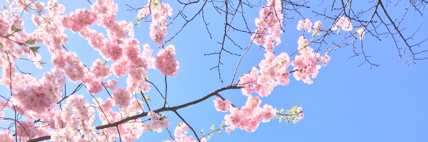 monikabunga's profile banner image