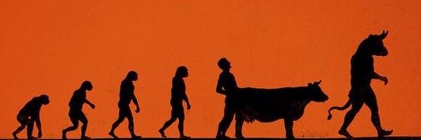sadleaff's profile banner image