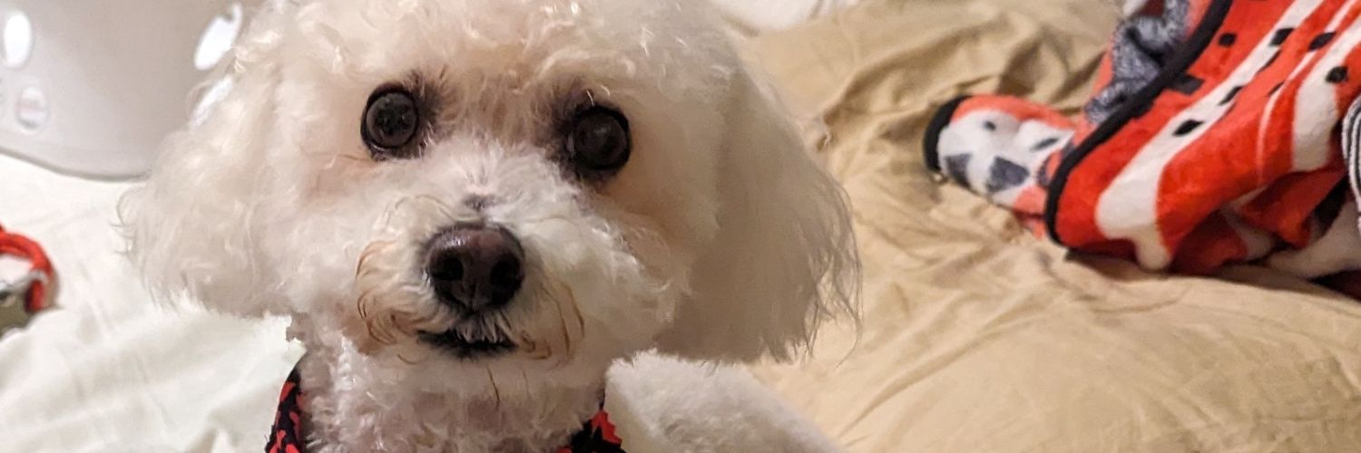 Laura Kathryn banner