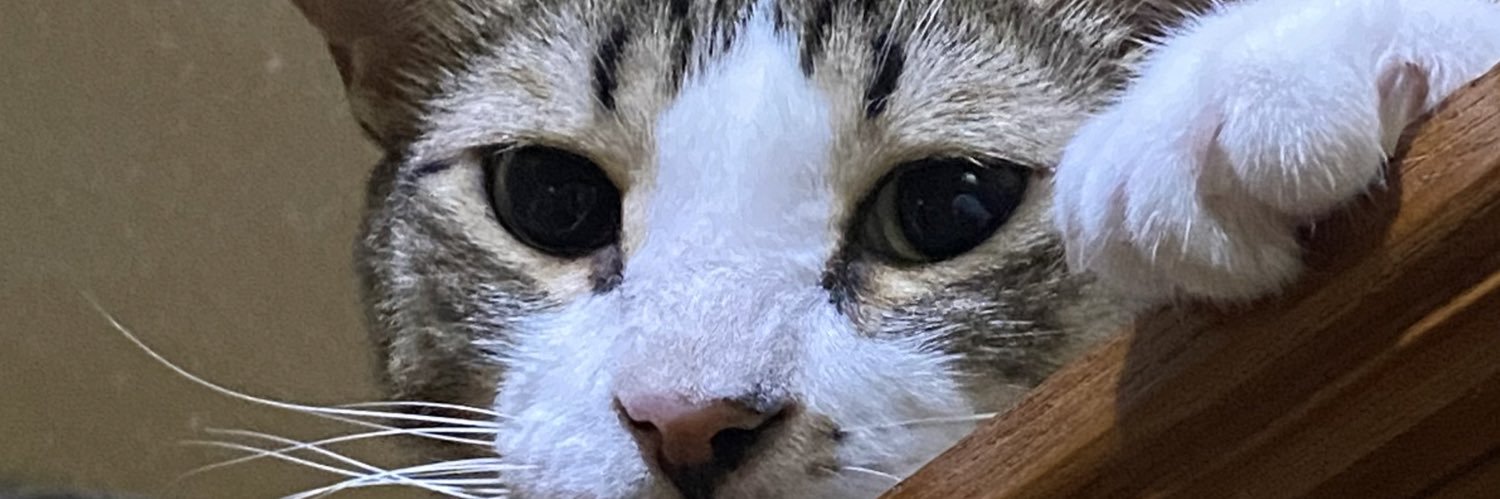 PerFec7ion_PF7's profile banner image