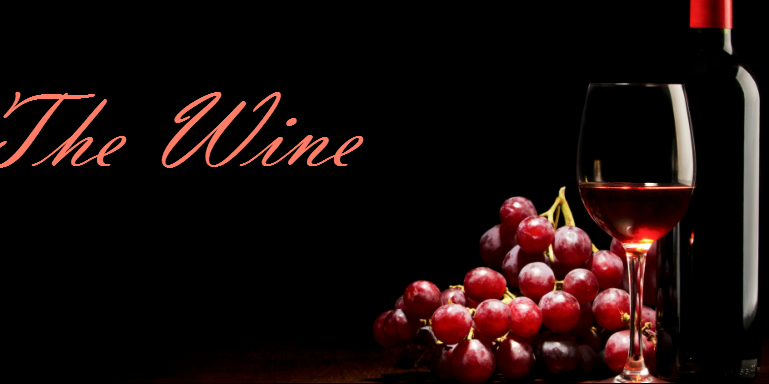BringOutTheWine's profile banner image