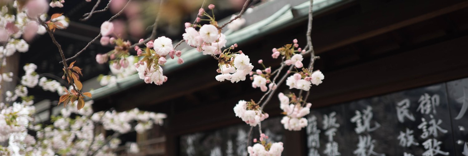 keimono's profile banner image