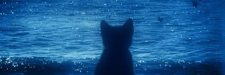 juniper ⋆˚꩜.ᐟ banner