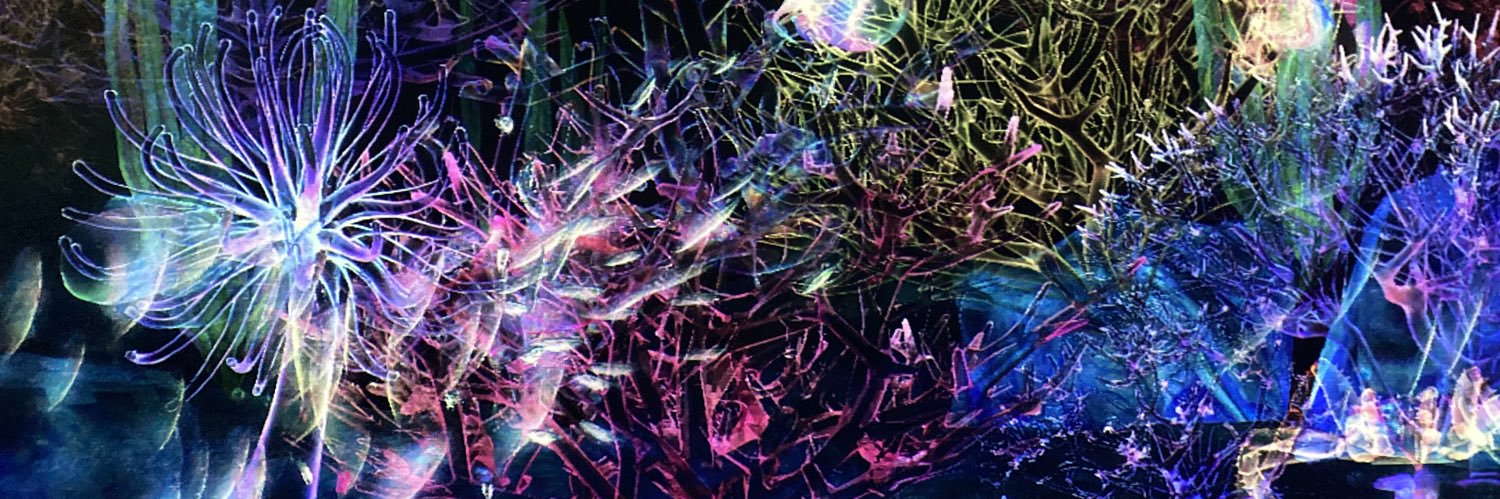 kze10's profile banner image