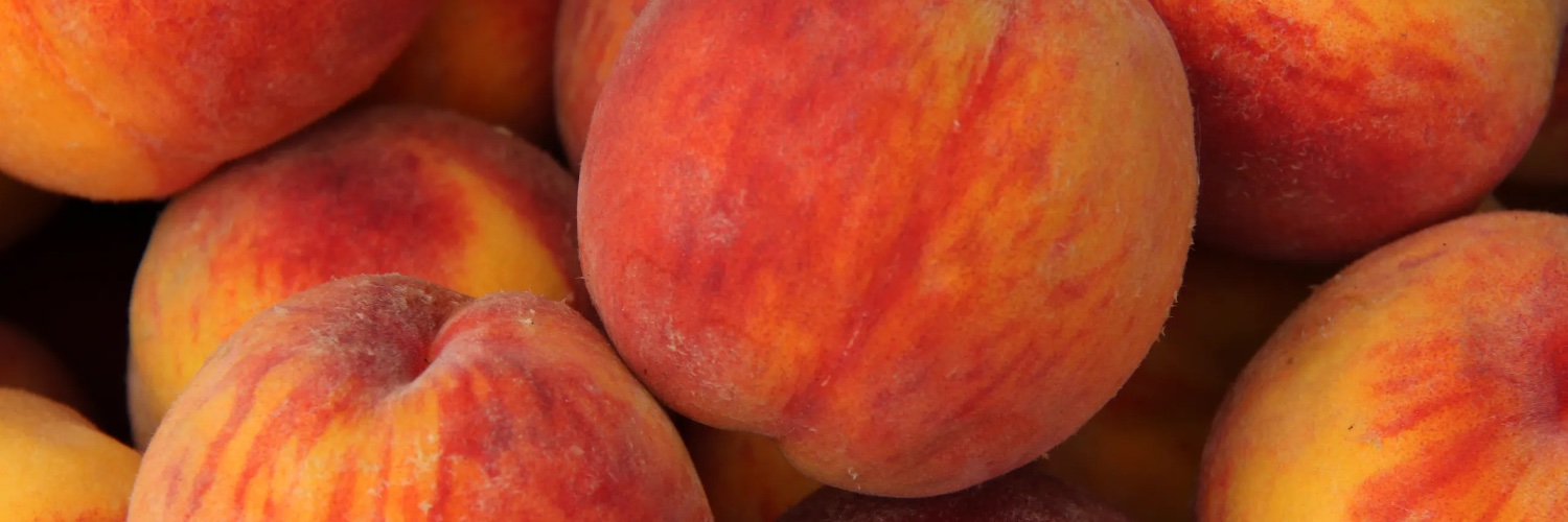 BUBBLE BUTT PARADISE 🍑 banner