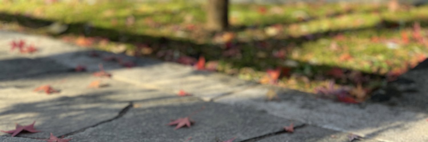 umintyo's profile banner image