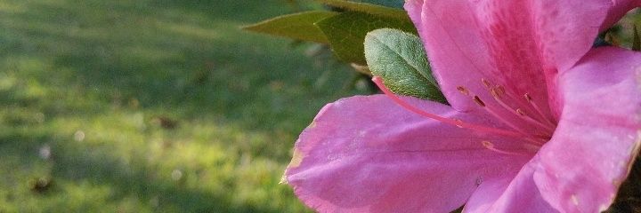 OneSword7's profile banner image