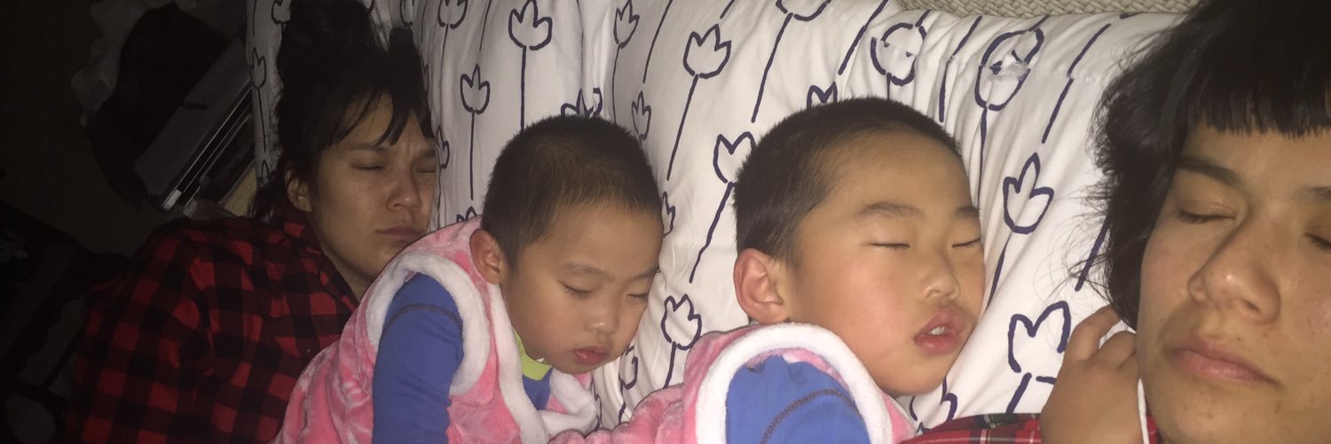 zoeboompowchao's profile banner image