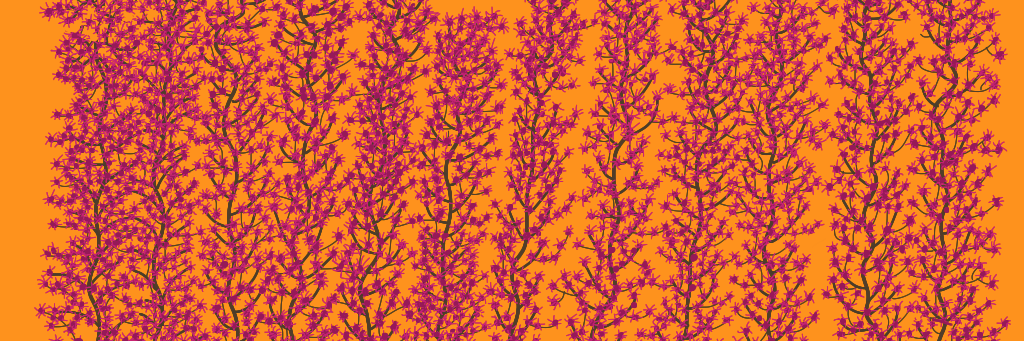 sallysheinman's profile banner image