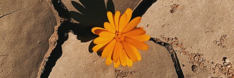 wgd000's profile banner image