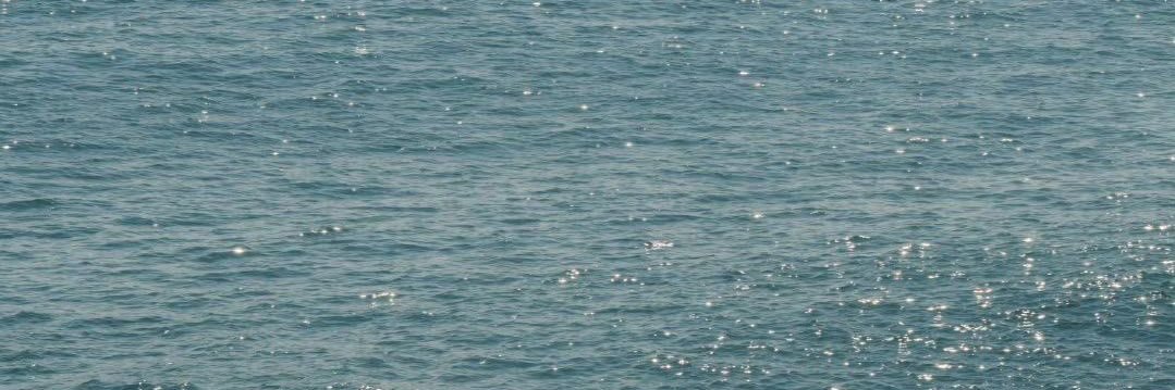 blueorchied's profile banner image