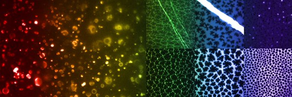 biophysnerd Profile Banner