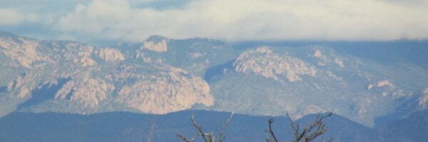 joannycaz Profile Banner