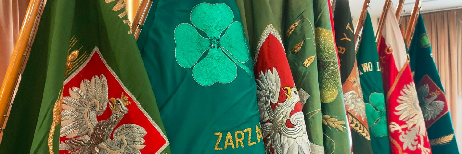 bodzentyniak's profile banner image