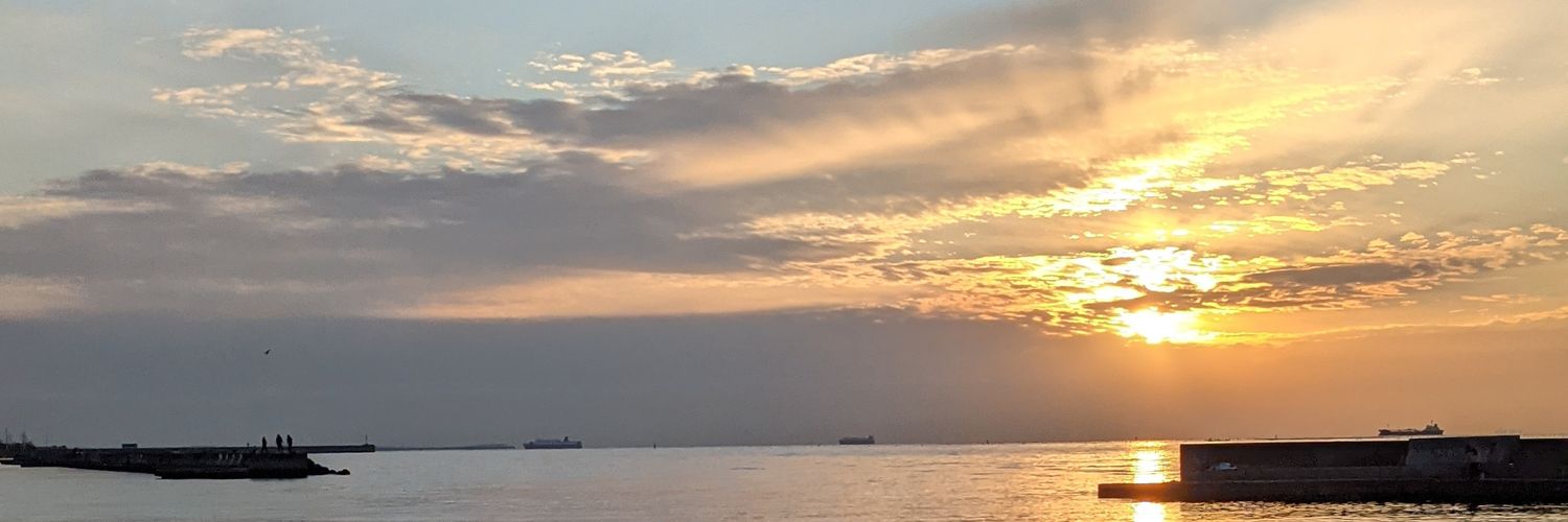 BushNono's profile banner image
