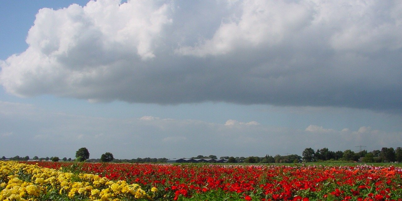 LeivdPrei's profile banner image