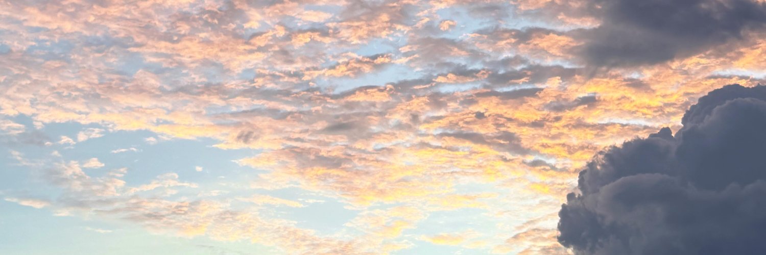 LifeLens_L's profile banner image