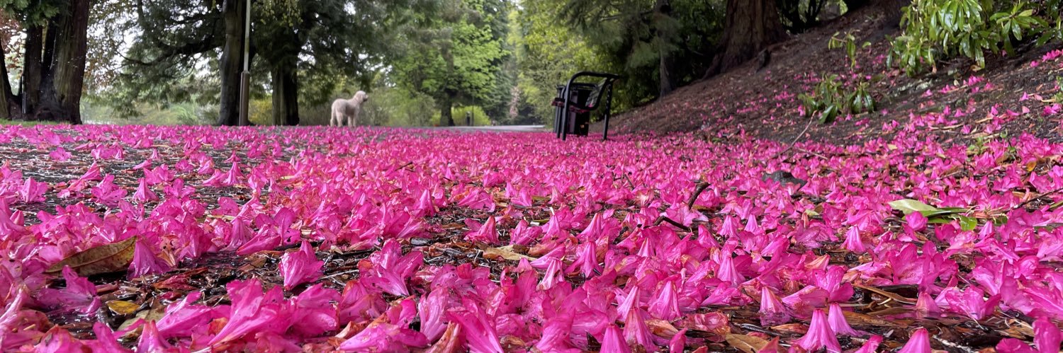 Victoria Lothian banner