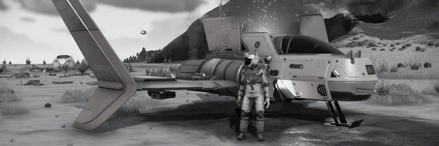 Nidrona's profile banner image