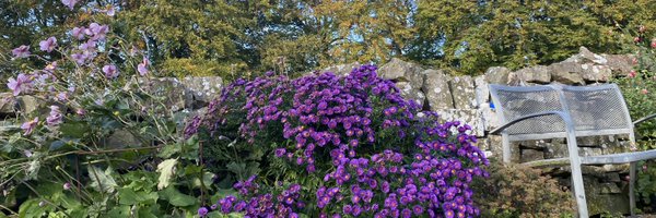 PFSPURR Profile Banner