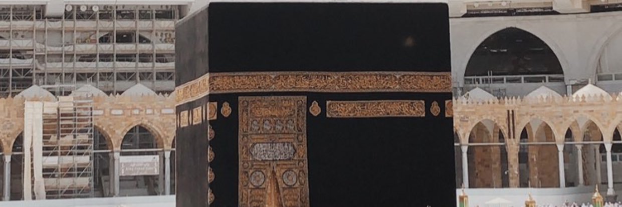 𝖆𝖚𝖑𝖎𝖆 🌻 banner