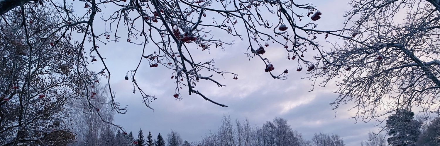 hpchin2's profile banner image