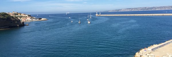 mari_navigo Profile Banner